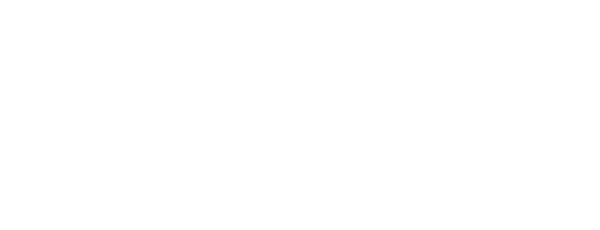 MSC 2027 Logo